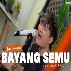 Download Lagu Angga Candra - Bayang Semu Ungu Terbaru