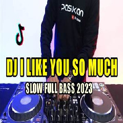 Dj Opus - Dj I Like You So Much Remix Tiktok Viral 2023 Slow Bass Mantap