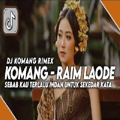 Download Lagu Dj Komang - Dj Sebab Kau Terlalu Indah Jedag Jedug Raim Laode Versi Remix Viral Tiktok 2023 Terbaru