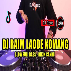 Dj Opus - Dj Raim Laode Komang Remix Tiktok Viral 2023 Slow Full Bass