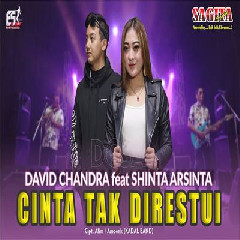 Download Lagu Shinta Arsinta - Cinta Tak Direstui Feat David Chandra Terbaru