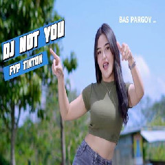 Download Lagu Imelia AG - Dj Not You Viral Tiktok Paling Dicari Bass Beton Terbaru