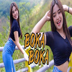 Download Lagu Kelud Music - New Boka Mashup Enak Banget Terbaru