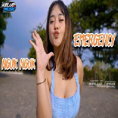 Download Lagu Kelud Music - Dj Emergency Full Ngik Ngik Nguk Nguk Terbaru