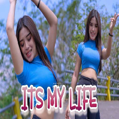 Download Lagu Kelud Music - Dj Its My Life X Melody Bete Mengular Terbaru
