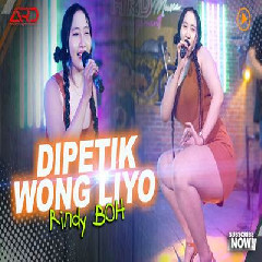 Download Lagu Rindy BOH - Dipetik Wong Liyo Terbaru